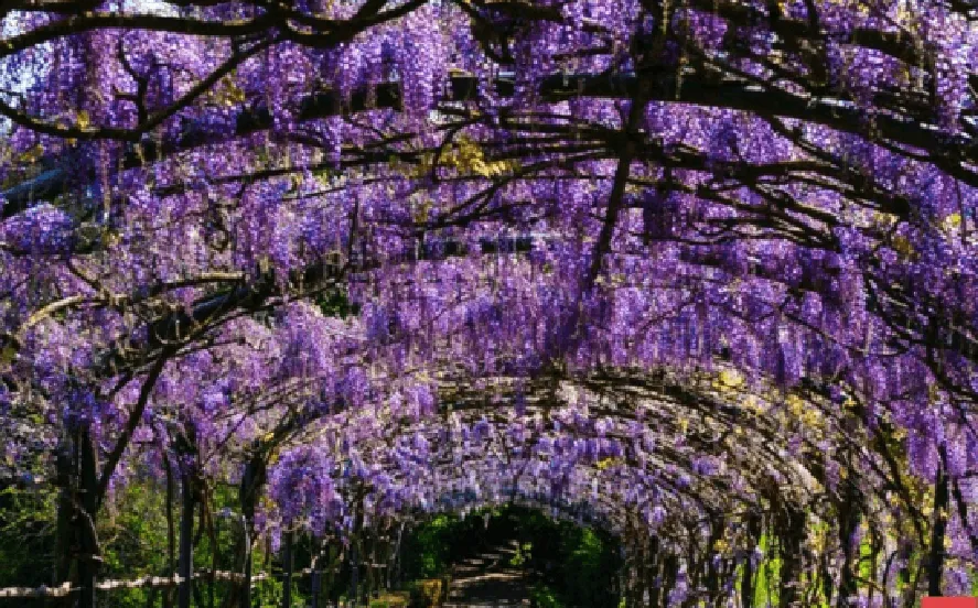Florence hidden gems